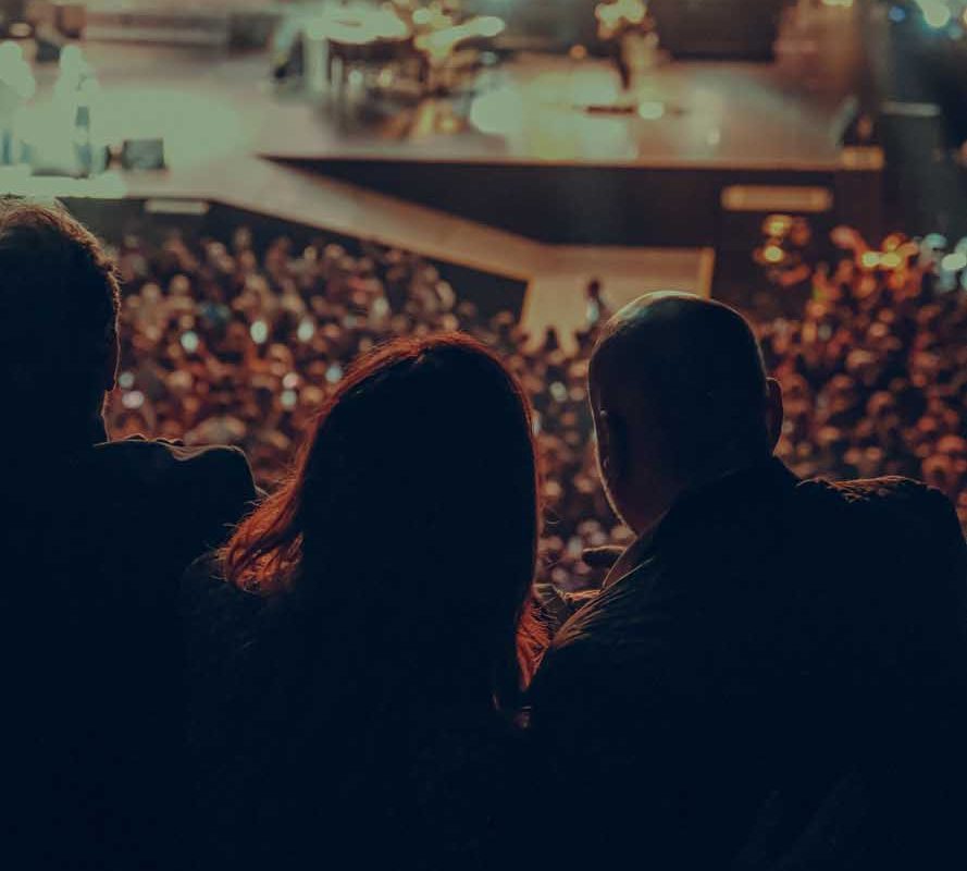 Concert crowd
